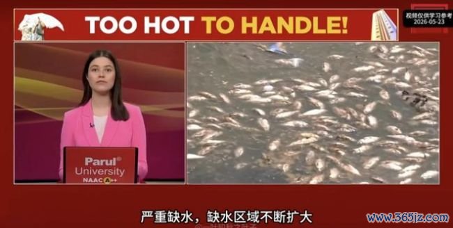 大V：印度电力被48度高温击穿 制造业好意思梦落空