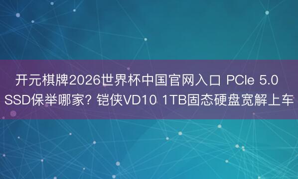 开元棋牌2026世界杯中国官网入口 PCIe 5.0 SSD保举哪家? 铠侠VD10 1TB固态硬盘宽解上车